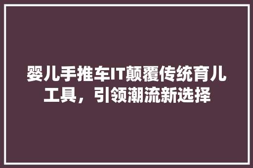 婴儿手推车IT颠覆传统育儿工具，引领潮流新选择 网站优化