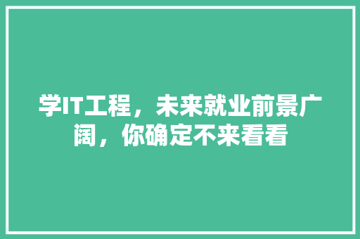 学IT工程，未来就业前景广阔，你确定不来看看