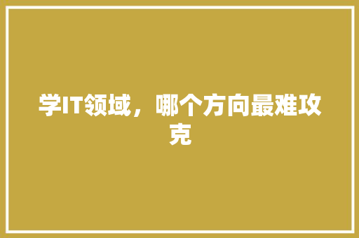 学IT领域，哪个方向最难攻克
