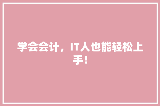 学会会计，IT人也能轻松上手！