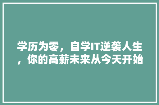学历为零，自学IT逆袭人生，你的高薪未来从今天开始！