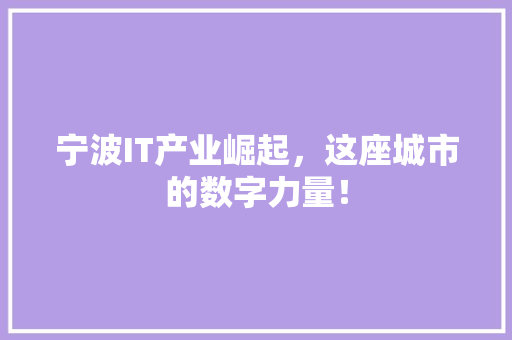 宁波IT产业崛起，这座城市的数字力量！