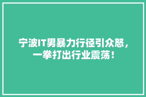宁波IT男暴力行径引众怒，一拳打出行业震荡！