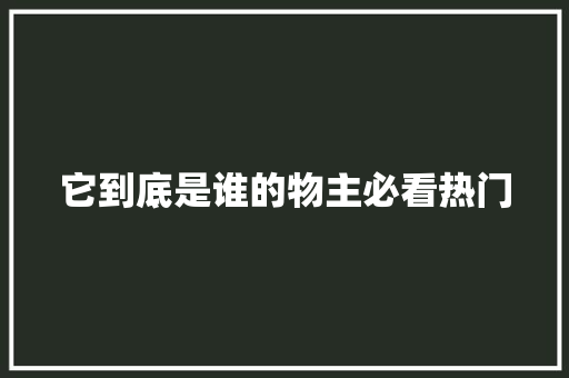 它到底是谁的物主必看热门 seo技术