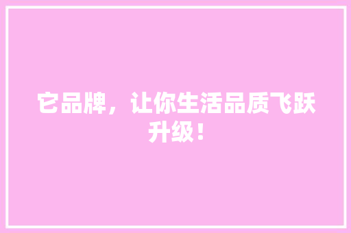 它品牌，让你生活品质飞跃升级！