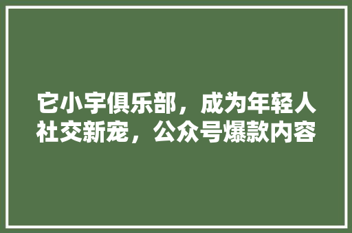 它小宇俱乐部，成为年轻人社交新宠，公众号爆款内容来袭！