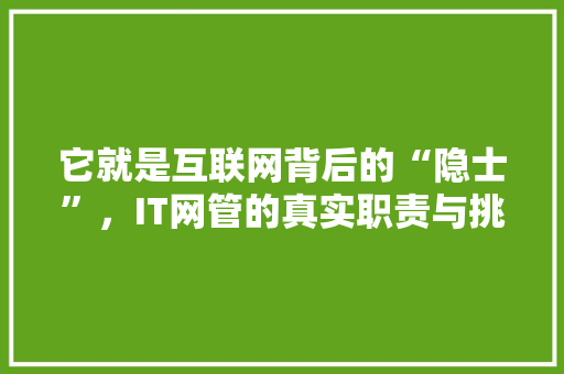 它就是互联网背后的“隐士”，IT网管的真实职责与挑战！