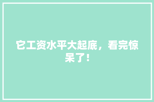 它工资水平大起底，看完惊呆了！