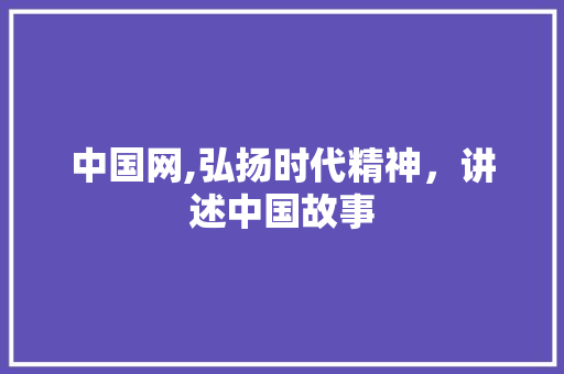 中国网,弘扬时代精神，讲述中国故事
