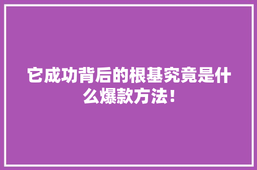它成功背后的根基究竟是什么爆款方法！
