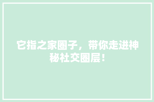它指之家圈子，带你走进神秘社交圈层！