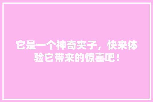 它是一个神奇夹子，快来体验它带来的惊喜吧！ 英文谷歌算法