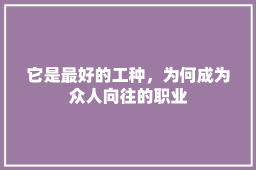 它是最好的工种，为何成为众人向往的职业
