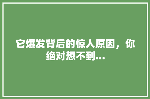 它爆发背后的惊人原因，你绝对想不到...