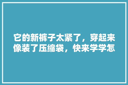 它的新裤子太紧了，穿起来像装了压缩袋，快来学学怎么挑合适的尺寸！