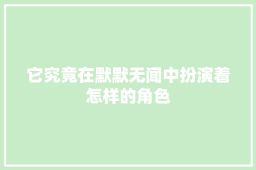它究竟在默默无闻中扮演着怎样的角色 小程序开发