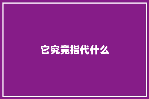 它究竟指代什么