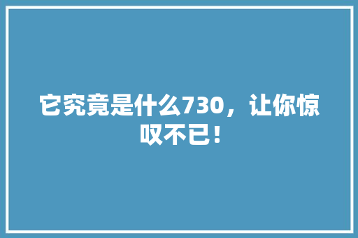 它究竟是什么730，让你惊叹不已！