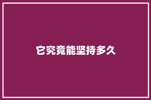 它究竟能坚持多久 网站开发