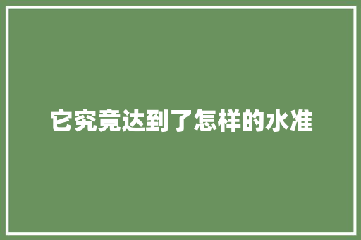 它究竟达到了怎样的水准