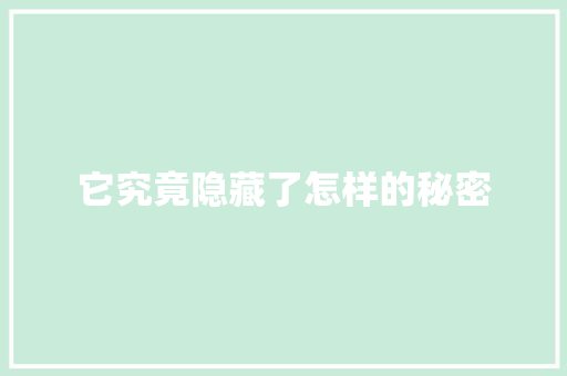 它究竟隐藏了怎样的秘密
