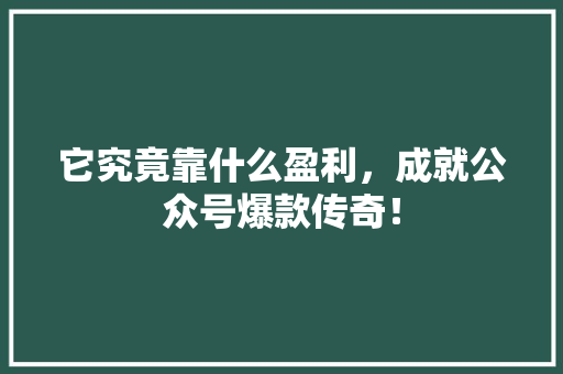它究竟靠什么盈利，成就公众号爆款传奇！ 百度算法