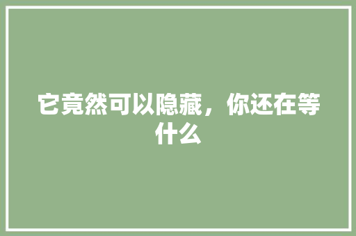 它竟然可以隐藏，你还在等什么