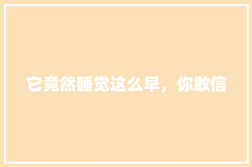 它竟然睡觉这么早，你敢信