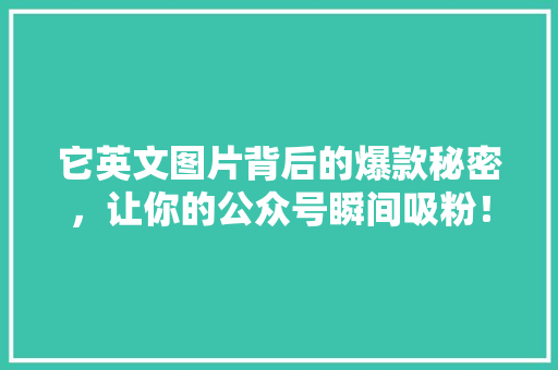 它英文图片背后的爆款秘密，让你的公众号瞬间吸粉！