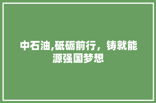 中石油,砥砺前行，铸就能源强国梦想