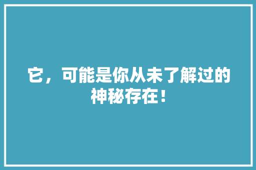 它，可能是你从未了解过的神秘存在！ 360搜优化