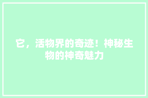 它，活物界的奇迹！神秘生物的神奇魅力 网站优化