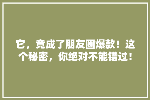 它，竟成了朋友圈爆款！这个秘密，你绝对不能错过！