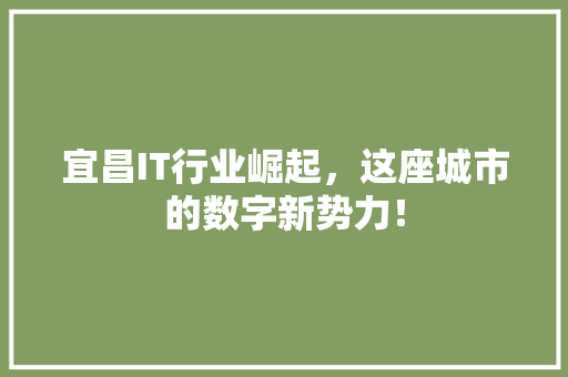 宜昌IT行业崛起，这座城市的数字新势力！