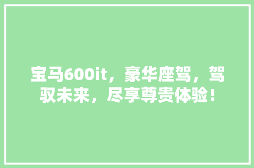 宝马600it，豪华座驾，驾驭未来，尽享尊贵体验！