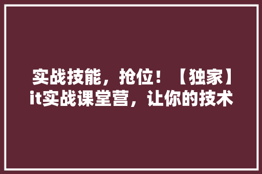 实战技能，抢位！【独家】it实战课堂营，让你的技术能力飙升！ seo技术