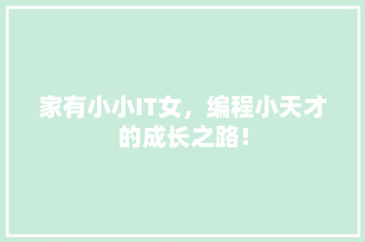 家有小小IT女，编程小天才的成长之路！ 网站优化