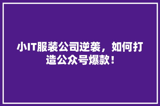 小IT服装公司逆袭，如何打造公众号爆款！