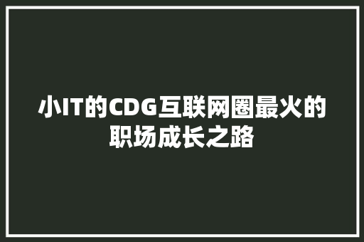 小IT的CDG互联网圈最火的职场成长之路 百度算法