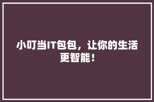 小叮当IT包包，让你的生活更智能！