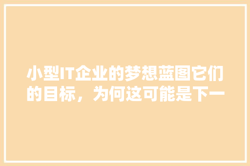 小型IT企业的梦想蓝图它们的目标，为何这可能是下一个行业爆款 360搜优化