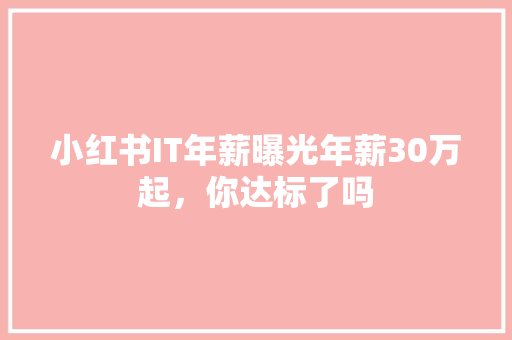 小红书IT年薪曝光年薪30万起，你达标了吗 seo技术
