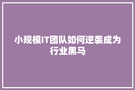 小规模IT团队如何逆袭成为行业黑马 seo技术