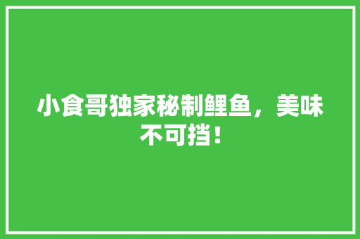 小食哥独家秘制鲤鱼，美味不可挡！