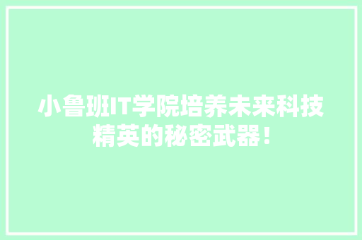 小鲁班IT学院培养未来科技精英的秘密武器！