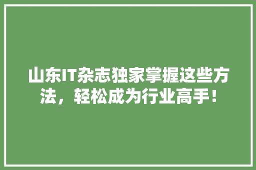 山东IT杂志独家掌握这些方法，轻松成为行业高手！