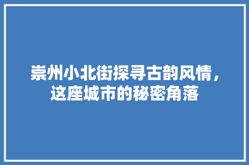 崇州小北街探寻古韵风情，这座城市的秘密角落 AI技术学习