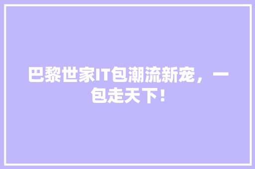 巴黎世家IT包潮流新宠，一包走天下！