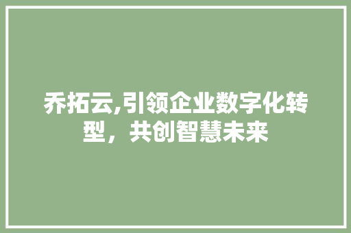 乔拓云,引领企业数字化转型，共创智慧未来