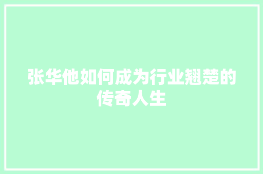 张华他如何成为行业翘楚的传奇人生